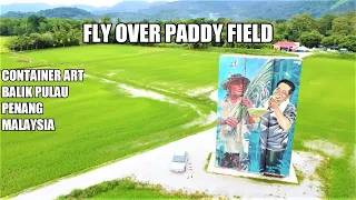 Drone DJI Mini 2 | Fly over Paddy Field Balik Pulau Penang Malaysia