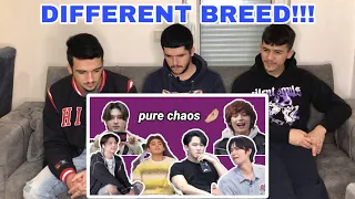 FNF Reacts to KPOP  BOY GROUPS are a different breed (part 1) | KPOP REACTION