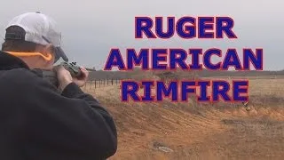 RUGER AMERICAN RIMFIRE REVIEW