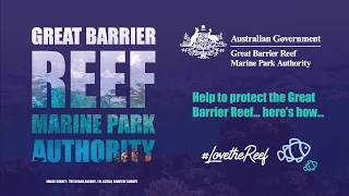 Here's how you can protect the Great Barrier Reef | Great Barrier Reef Marine Park Authority