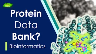 How to Use Protein Data Bank | What is PDB | PyMol Series | Part-1 | Basic Science Series