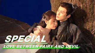 Special: A Group portrait of actors | Love Between Fairy and Devil | 苍兰诀 | iQIYI