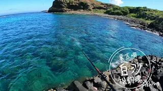 【磯釣】東吉嶼D6｜南方四島｜東吉白沙｜🐢🐢🐢｜2022/06/23