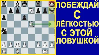 ПОБЕЖДАЙ ЛЕГКО И БЫСТРО С ЭТОЙ ЛОВУШКОЙ / ШАХМАТЫ ЛОВУШКИ / ШАХМАТЫ ОБУЧЕНИЕ / Уроки Шахмат