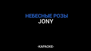 Jony - Небесные розы ( Караоке)