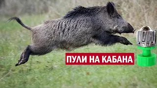 💥 ОБЗОР ЛУЧШИХ ПУЛЬ НА КАБАНА  КУДА СТРЕЛЯТЬ ПО КАБАНУ