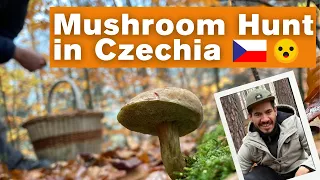 Mushroom Picking in the Czech Republic | Traveling in Central Europe