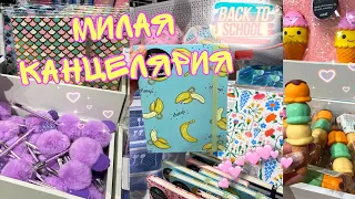 BACK TO SCHOOL 2021/ МИЛАЯ КАНЦЕЛЯРИЯ Modi, ZAKKA,Леонардо 🍊