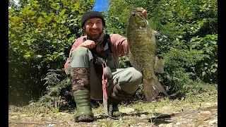 Topwater GIANT! Fall Smallmouth are on FIRE! (FISH OHIO)