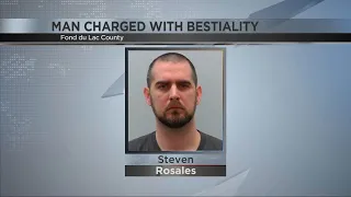 Man charged with bestiality