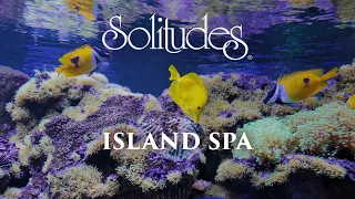 Dan Gibson’s Solitudes - Another World | Island Spa