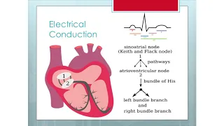 Mini Medical School: The Benefits of Cardiac Rehabilitation and Secondary Prevention