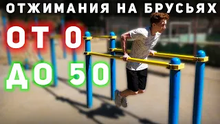 КАК НАУЧИТЬСЯ ОТЖИМАТЬСЯ НА БРУСЬЯХ С НУЛЯ (ОТ 0 ДО 50)