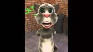 Talking Tom Lustige Beleidigungssprüche😂😂