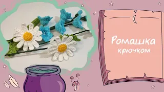 Ромашка крючком 🌼