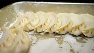 Gyoza - Japanese Street Food