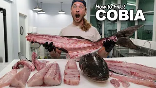 Harvesting Every Part of This Fish
