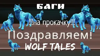 2 бага на прокачку в Wolf Tales 👾