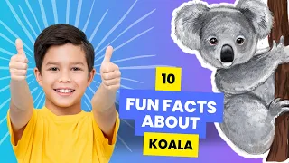 Koala Bear: 10 Fun Facts About Koalas for Kids!