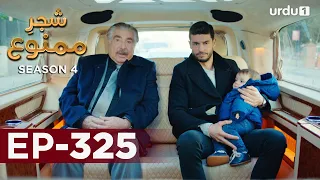 Shajar-e-Mamnu | Episode 325 | Turkish Drama  | Forbidden Fruit | Urdu Dubbing | 9 March 2022