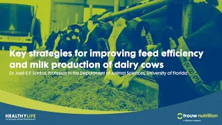 Key strategies for improving feed efficiency and milk production of dairy cows | HealthyLife