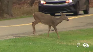 How Ohio deer hunting has changed