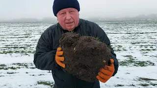 Практичні поради по відбору монолітів на озимих культурах.