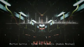 Martin Garrix - Virus vs. Animals [Kubik Mashup]