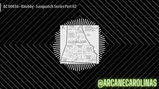 AC 00036 - Knobby - Sasquatch Series Part 02 | Arcane Carolinas