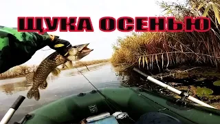 ЩУКА ОСЕНЬЮ/ПОКЛЕВКА ЖИРНОЙ ЩУКИ НА ЯМЕ/ ЩУКА НА ДЖИГ/ СИЛИКОН ФАНАТИК РУЛИТ/ LARVA/РЫБАЛКА НА ПСЛЕ/