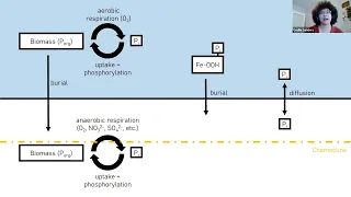 Phosphorites Under the Microscope: Microbial Ecology and the Phosphorus Cycle... - Cecilia Sanders