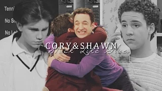 Cory&Shawn | Stuck Like Glue