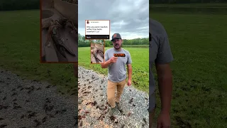 ANSWERING CRAWFISH QUESTIONS 🦞 | Louisiana Crawfish Company
