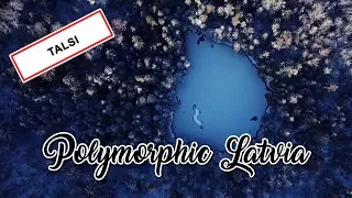 Polymorphic Latvia #01 - Talsi