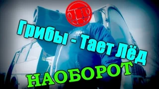 КЛИП наоборот - Грибы - Тает Лёд (KinoMost)