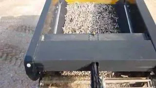 Beach Cleaning Razor clam recycling