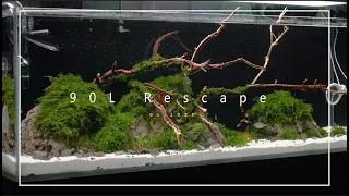 2021 90L Rescape