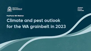 Climate & pest outlook for WA grainbelt   Department of Primary Industries and Regional Development