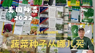 蔬菜种子从哪儿买，美国种菜2022 | Where to Buy Vegetable Seeds, Growing Vegetables in US 2022