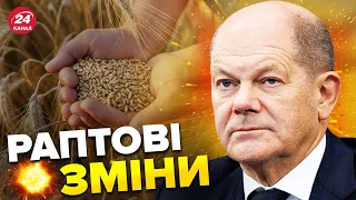 ❗ТРИВОЖНІ події довкола імпорту зерна / У НІМЕЧЧИНІ здивували заявою – ЛІСНИЙ