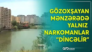 Nəzarətsiz qalan ərazi narkomanların məskəninə çevrilib: "Mən balıq tutmağa gəlirəm..."