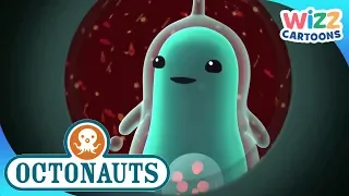 @Octonauts - Drilling Through the Ice | Compilation | Wizz Cartoons