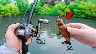 Fishing with a BEAVER LURE for MONSTER BASS! (INSANE TOPWATER BITE)