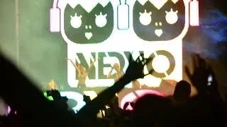 NERVO GUATEMALA 2014