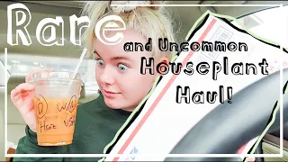 Rare and Uncommon Houseplant Haul! 4 Incredible Underrated Plants You NEED!