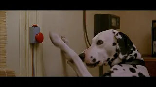 101 dalmatians (1996) - pongo's morning routine