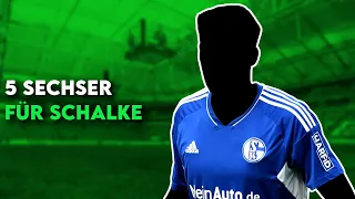 FC Schalke 04: 5 Sechser als Mittelfeld-Abräumer für den Abstiegskampf!