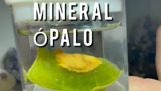 MINERAL COLECCIÓN ÓPALO-canal de minerales naturales #españasiempre