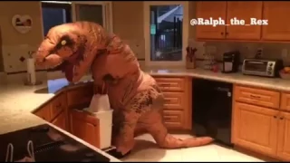 Ralph the Rex problems  Taking out the trash!