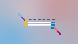 Illumina Target Enrichment Workflow